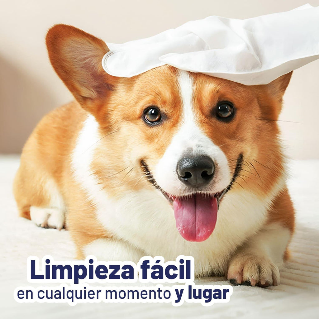 jpg_1500x1500_67449073