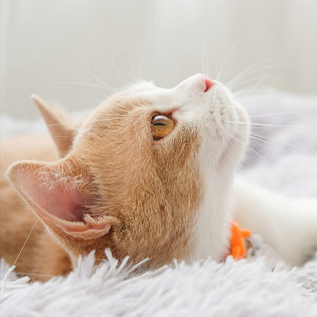 jpg_1500x1500_67450010