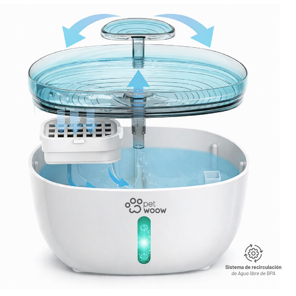 Fuente de Agua Bebedero para Mascotas Verde