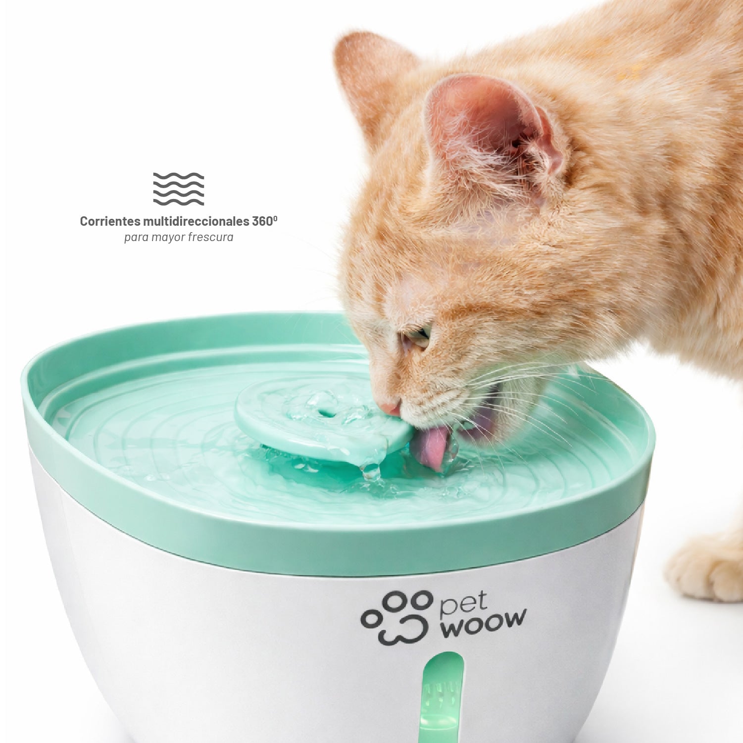 Fuente de Agua Bebedero para Mascotas Verde