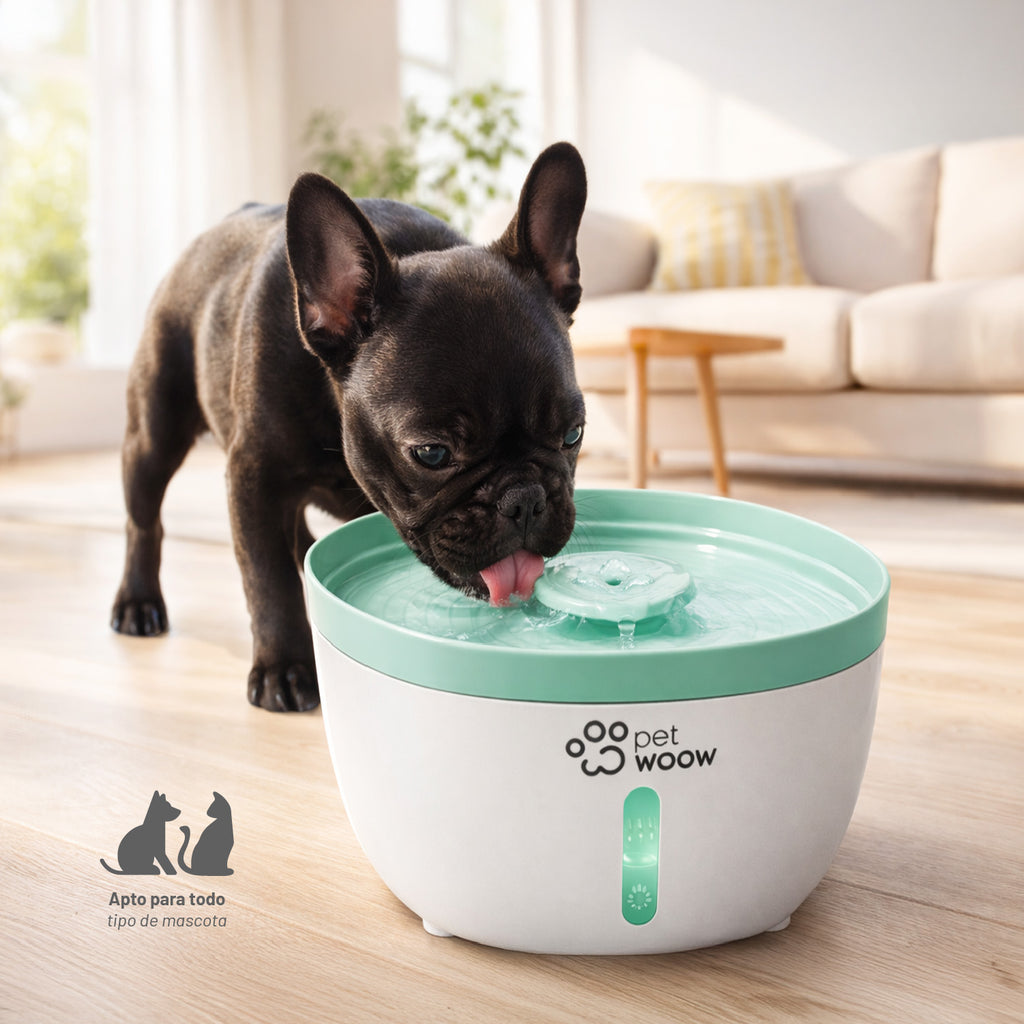Fuente de Agua Bebedero para Mascotas Verde