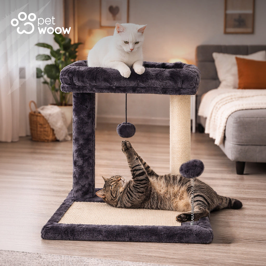 Rascador De Gatos Con Juguete Y Cama 44x40x40