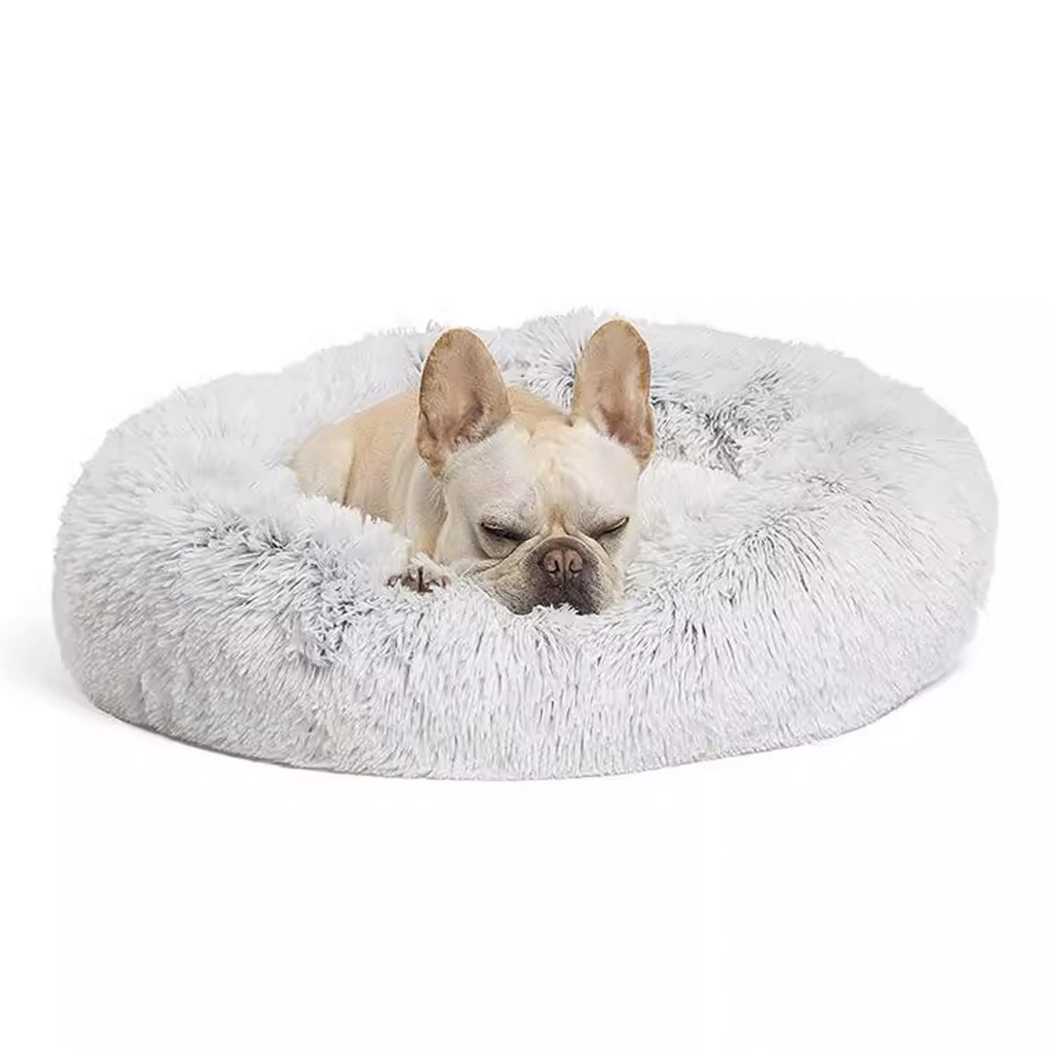 jpg_1500x1500_67450008