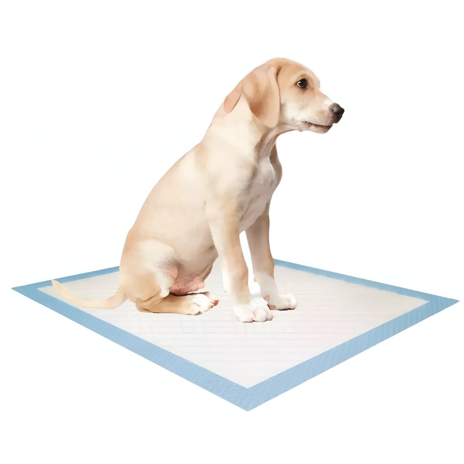 jpg_1500x1500_67450457